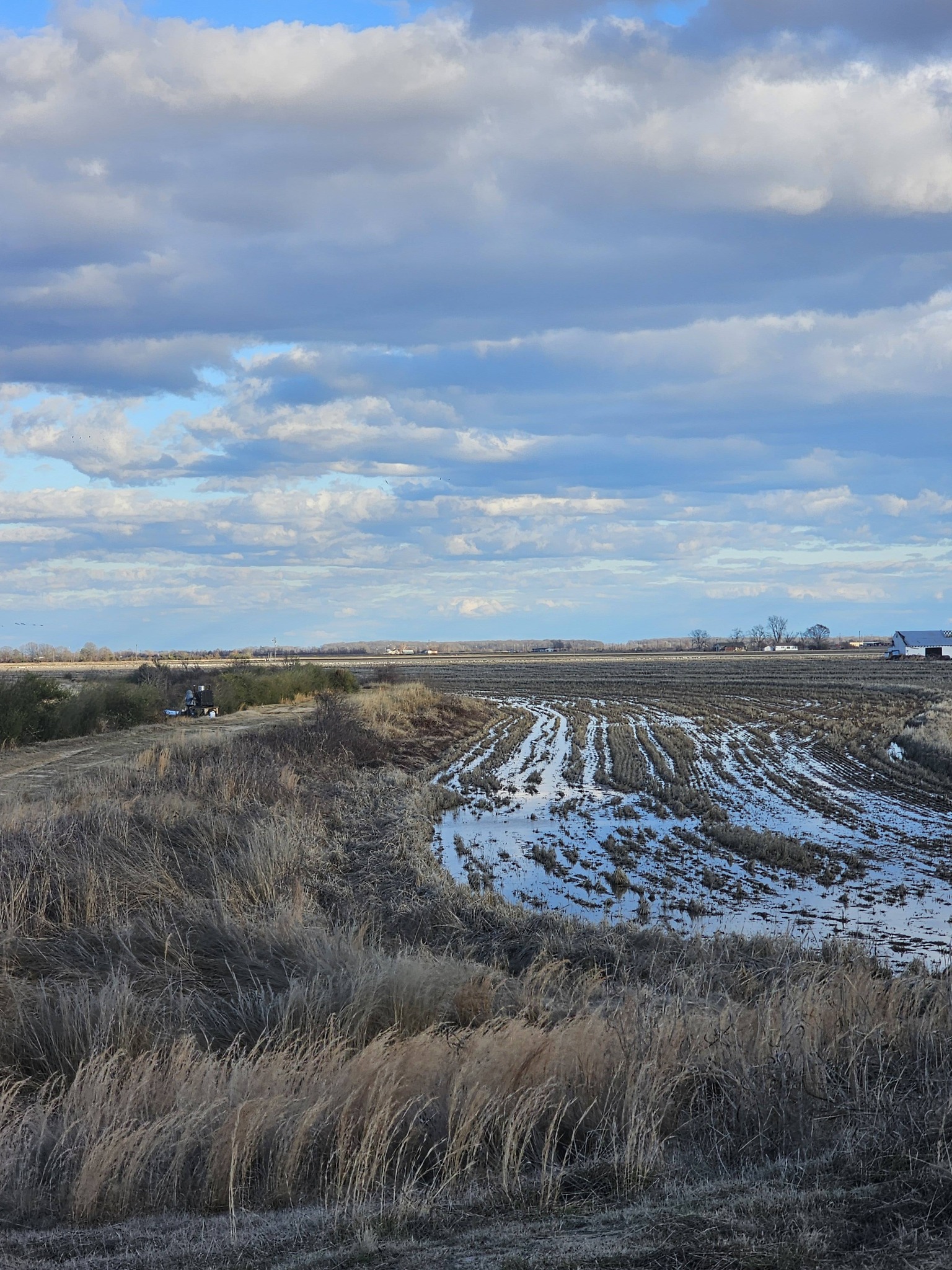 Private flooded fields on the Arkansas Grand Prairie — Jonboy's Duck Club hunting grounds
