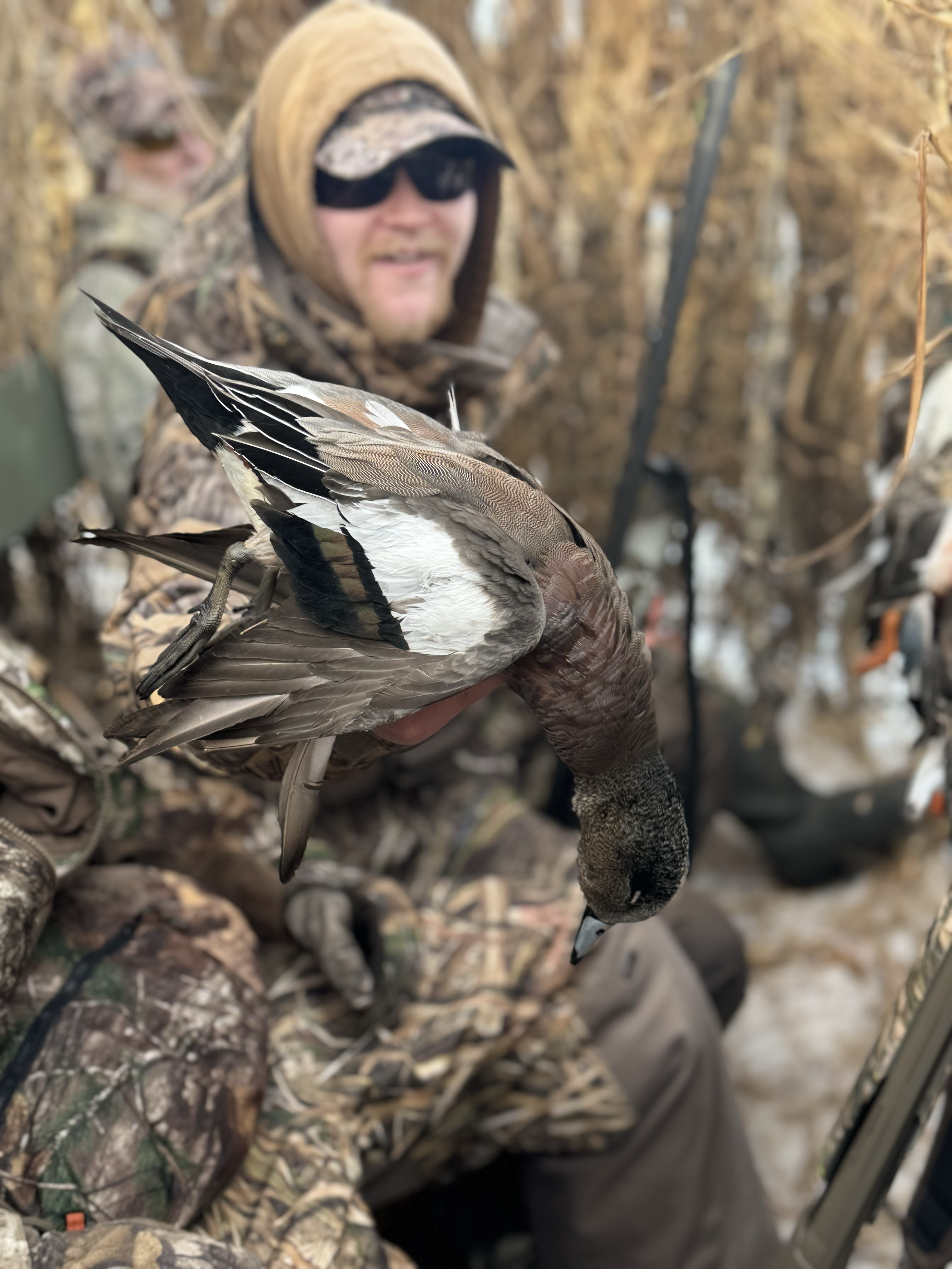 Trophy Duck from Duck Blind