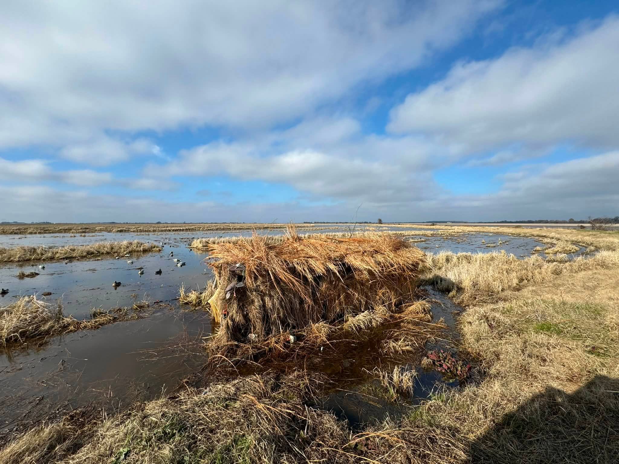 Grassed-up duck blind set in a decoy spread on private flooded fields at Jonboy's Duck Club in Stuttgart, Arkansas