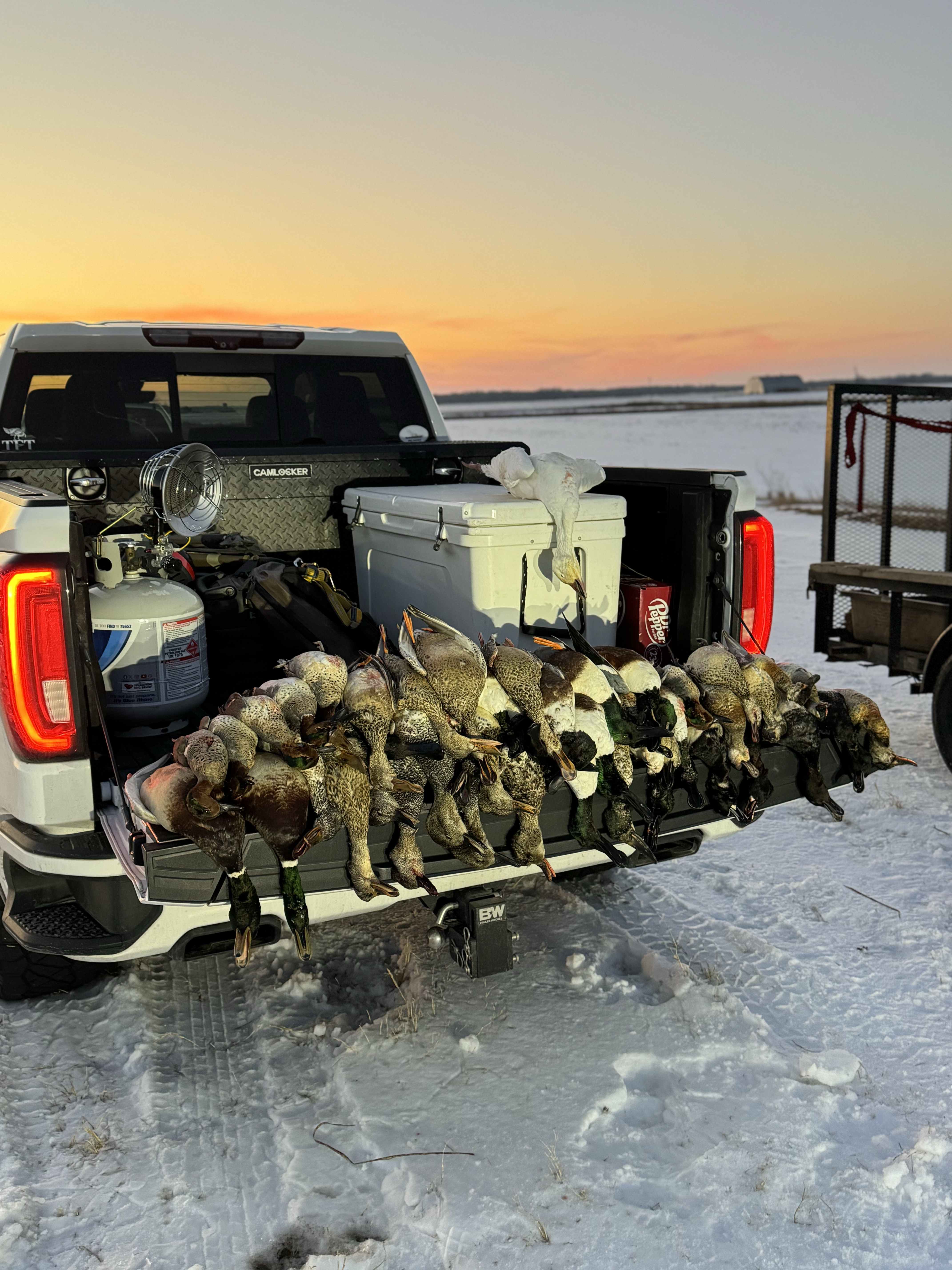 Duck Haul After Successful Hunt